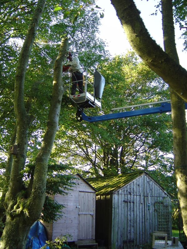 28th september 2009 007